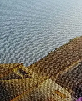 Obrazy města Obraz Provence s levandulovými poli