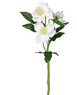 Květiny Umělá Čemeřice bílá, 37 cm