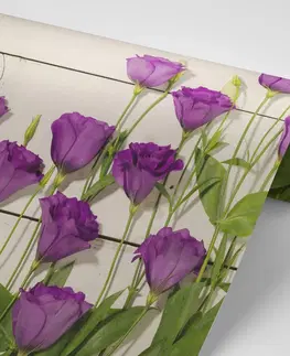 Samolepící tapety Samolepící fototapeta nádherné fialové květiny