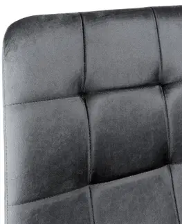 Židle TZB Čalouněná židle DENVER samet šedá