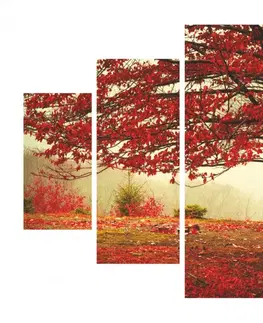 Obrazy Hanah Home Vícedílný obraz Rudý Podzim 92 x 56 cm