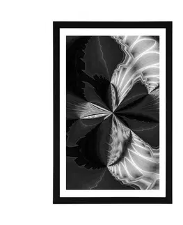 Černobílé Plakát s paspartou umělecká abstrakce v černobílém provedení
