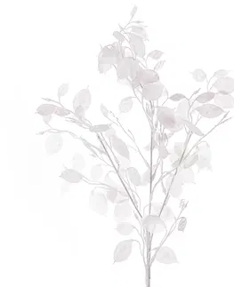 Květiny Umělá Penízovka bílá, 78 cm
