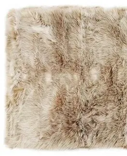 Koberce a koberečky Kontrast Koberec ALASKA 80x150 hnědý