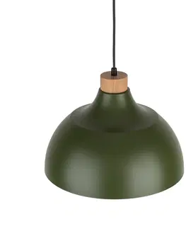 Svítidla Lustr TK 5665 CAP dřevo zelená