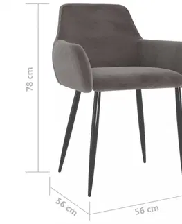 Židle Jídelní židle 2 ks samet / kov Dekorhome Světle šedá
