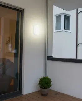 Stropní svítidla Müller-Licht Bulkhead - oválné LED stropní svítidlo
