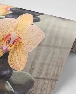 Tapety Feng Shui Fototapeta orchideje a Zen kameny