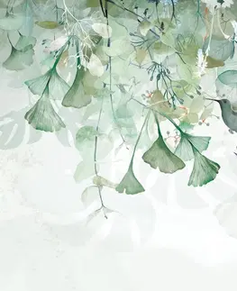 Tapety listy Tapeta zelené listy s kolibříky