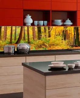 Tapety Samolepící fototapeta do kuchyně les v barvách podzimu