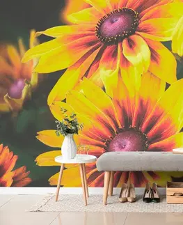 Samolepící tapety Samolepící fototapeta dvoubarevné květiny