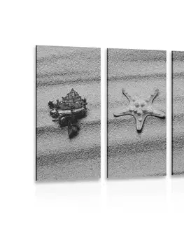 Černobílé obrazy 5-dílný obraz mušle na písečné pláži v černobílém provedení