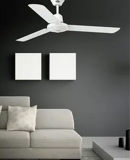 Domácí ventilátory Stropní ventilátor Faro ECO INDUS 33005 bílá