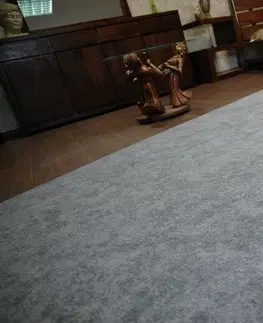 Koberce a koberečky Dywany Lusczow Kusový koberec SERENADE Hagy světle šedý, velikost 500x600