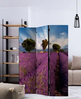 Paravány Paraván Lavender field in Provence, France Dekorhome 225x172 cm (5-dílný)