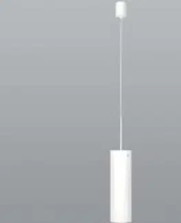 Klasická závěsná svítidla LUCIS závěsné svítidlo MAIA PMMA 1x100(77)W E27 akrylátové sklo bílá opál ZK.11.M320 PA