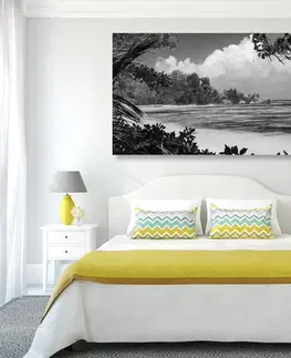 Černobílé obrazy Obraz nádherná pláž na ostrově La Digue v černobílém provedení