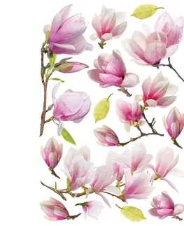 Samolepky na zeď Samolepící dekorace Magnolia Flowers, 42,5 x 65 cm