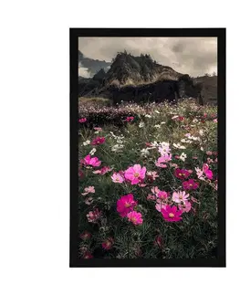 Příroda Plakát louka kvetoucích květin