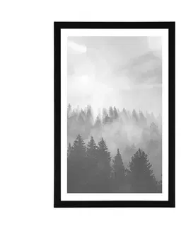 Černobílé Plakát s paspartou mlha nad lesem v černobílém provedení