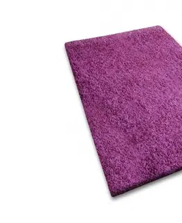 Koberce a koberečky Dywany Lusczow Kusový koberec SHAGGY Izebelie 5cm fialový, velikost 300x450