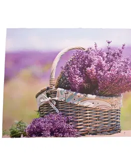 Obrazy Obraz na plátně s levandulí Provence, 30 x 40 cm