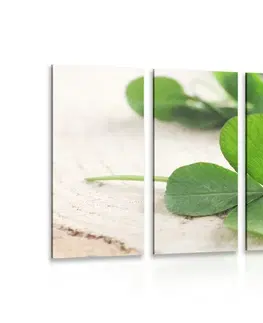 Obrazy zátiší 5-dílný obraz zelené čtyřlístky