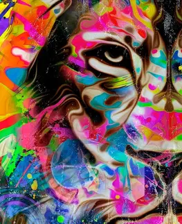 Pop art obrazy Obraz barevná hlava lva