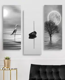 Obrazy Wallity Sada obrazů BLACK AND WHITE BEAUTY 70 x 50 cm 3 kusy