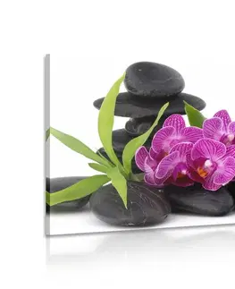 Obrazy Feng Shui Obraz fialová orchidej v Zen zátiší