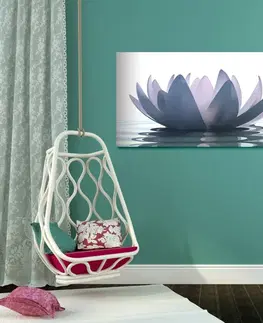 Obrazy květů Obraz lotosový květ