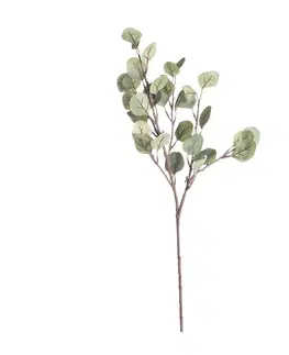 Umělé květiny Větvička Eukaliptusa 68cm