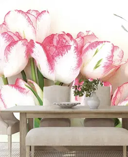 Tapety květiny Fototapeta jarní tulipány