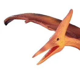 Hračky Collecte - Pteranodon