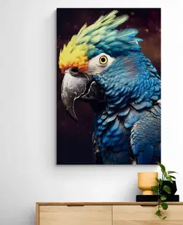 Obrazy vládci živočišné říše Obraz modro-zlatý papoušek