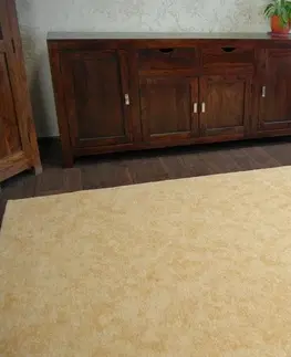 Koberce a koberečky Dywany Lusczow Kusový koberec SERENADE Hagy zlatý, velikost 100x300