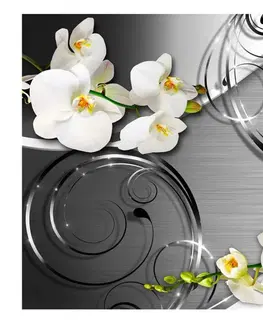 Tapety Samolepící tapeta orchidej na stříbrném podkladu - Expectation
