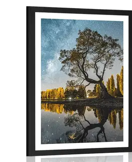 Příroda Plakát s paspartou strom pod hvězdnou oblohou