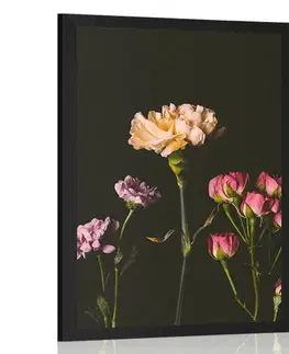 Květiny Plakát elegantní květiny na tmavém pozadí