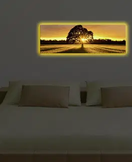 Obrazy Hanah Home Obraz s led osvětlením Ledda Tree 90x30 cm