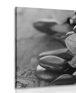 Černobílé obrazy Obraz orchidej a Zen kameny v černobílém provedení