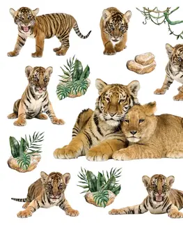 Samolepky na zeď Samolepící dekorace Tigers, 30 x 30 cm