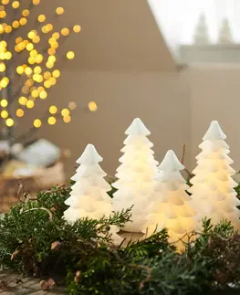Vánoční vnitřní dekorace Sirius Dekorativní světlo LED Carla, bílý voskový stromek 16 cm
