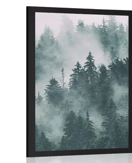 Příroda Plakát hory v mlze
