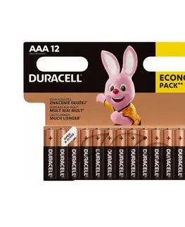 Elektronika Duracell Basic 2400 K12 AAA