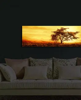 Obrazy Wallity Obraz s LED osvětlením STROM V ZÁPADU SLUNCE 27 30 x 90 cm