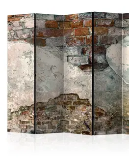 Paravány Paraván Tender Walls Dekorhome 225x172 cm (5-dílný)