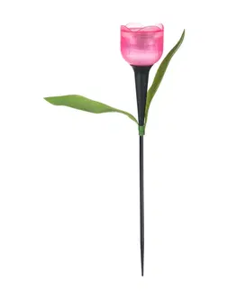 Zahradní lampy ACTIVER Lampa solární tulipán 30,5 cm, assort
