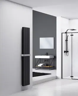 Sprchové kouty REA Sprchové dveře FARGO BLACK MAT 120 cm