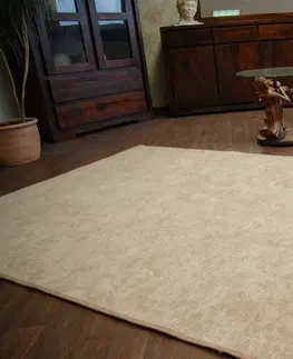 Koberce a koberečky Dywany Lusczow Kusový koberec SERENADE Hagy béžový, velikost 250x300